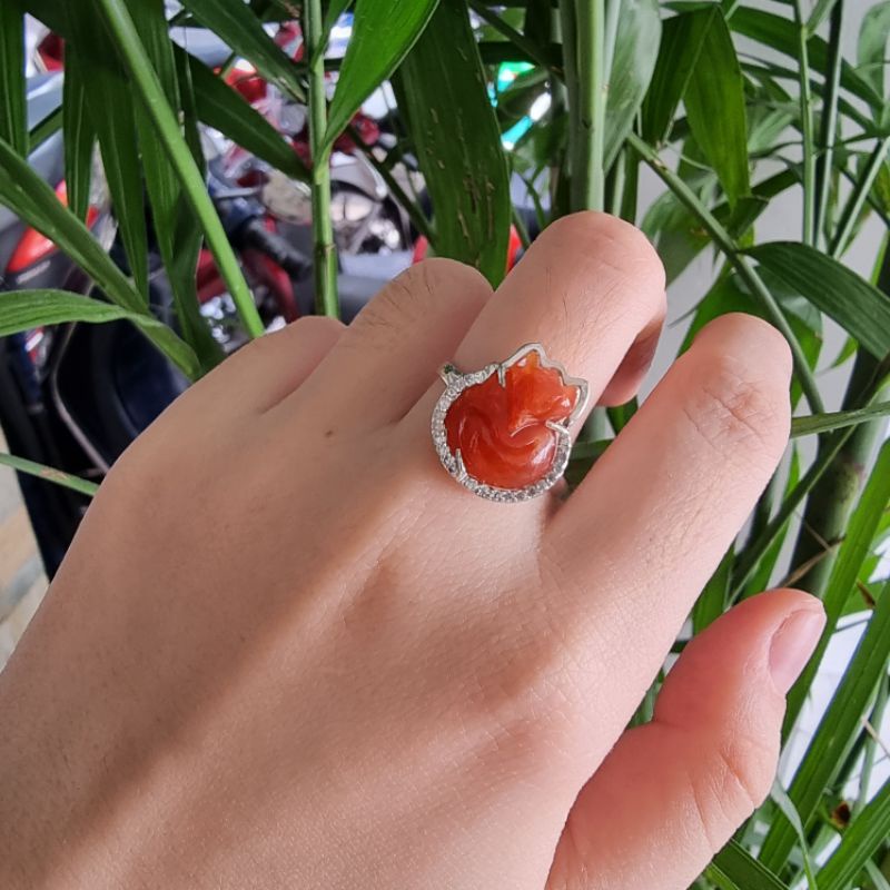 Ngọc huyết mang đến lợi ích lớn cho sức khỏe của người dùng